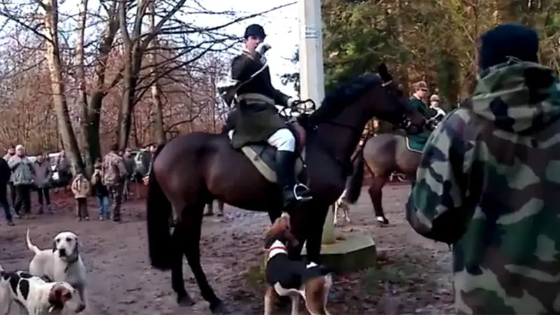 Les vidéos d’entraves à la pratique de la chasse d’AVA