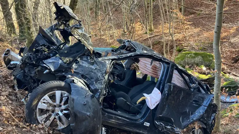 Ardèche : des chasseurs sauvent miraculeusement un automobiliste coincé depuis cinq jours dans un ravin