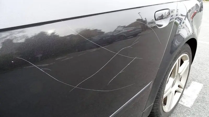 Vandalisme sur des voitures de chasseurs pendant une battue aux sangliers