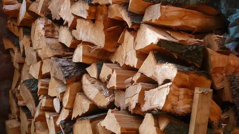 Tas de bois