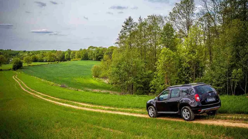 voiture dans les champs