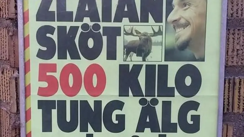 Zlatan Ibrahimovic énerve les anti-chasses