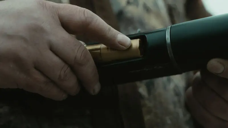 cartouche chasse