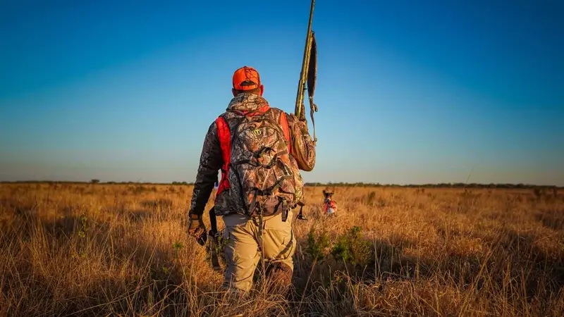 chasseur dans le ciel bleu