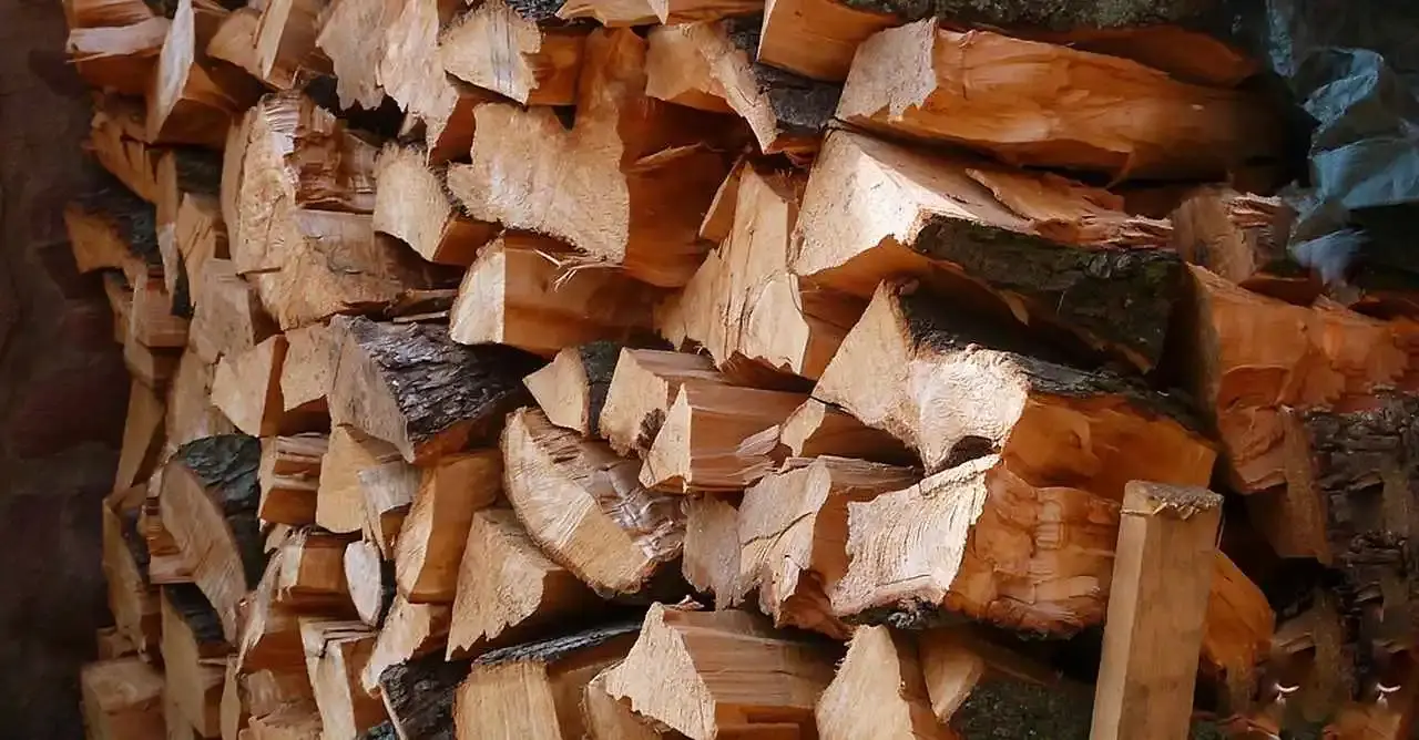 Tas de bois