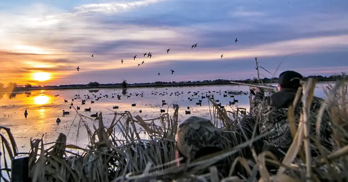 VICTOIRE pour les chasseurs !