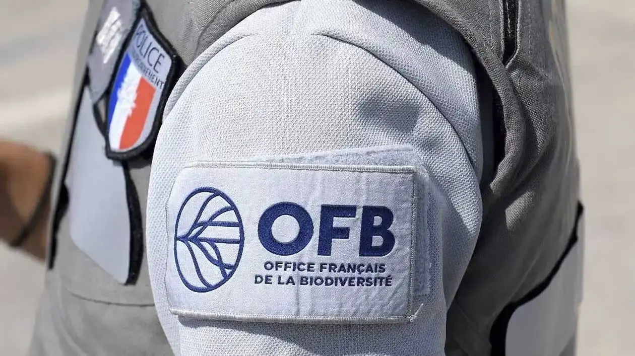 L’OFB organise sa campagne nationale de contrôles du 1er mai au 1er juin