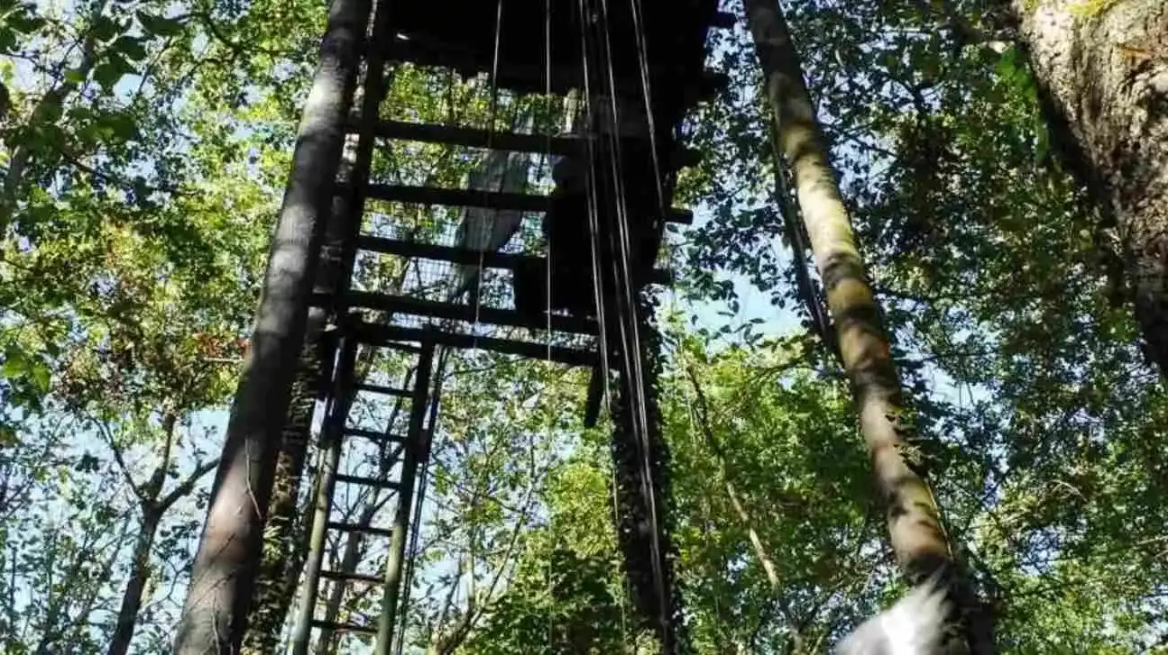 Un chasseur grièvement blessé après une chute de 15 mètres d’une palombière