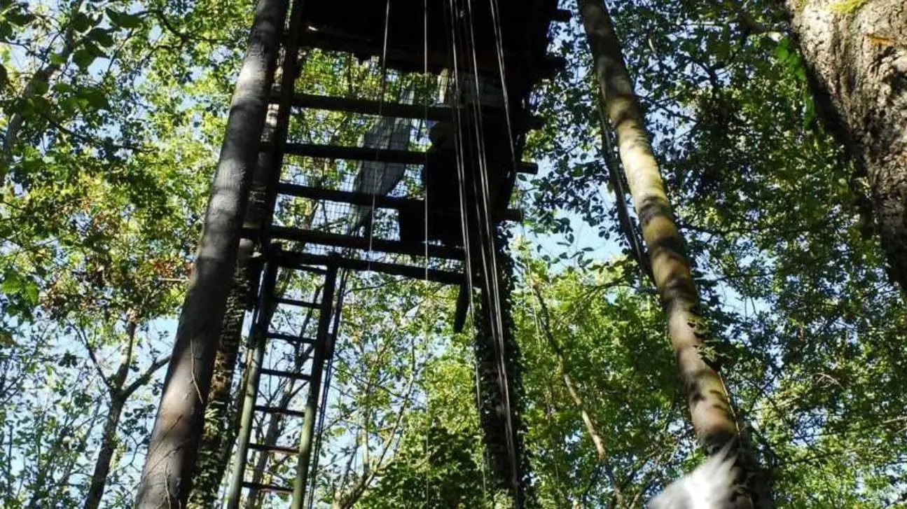 Sud-Ouest : les incendies ont ravagé les forêts mais aussi les palombières