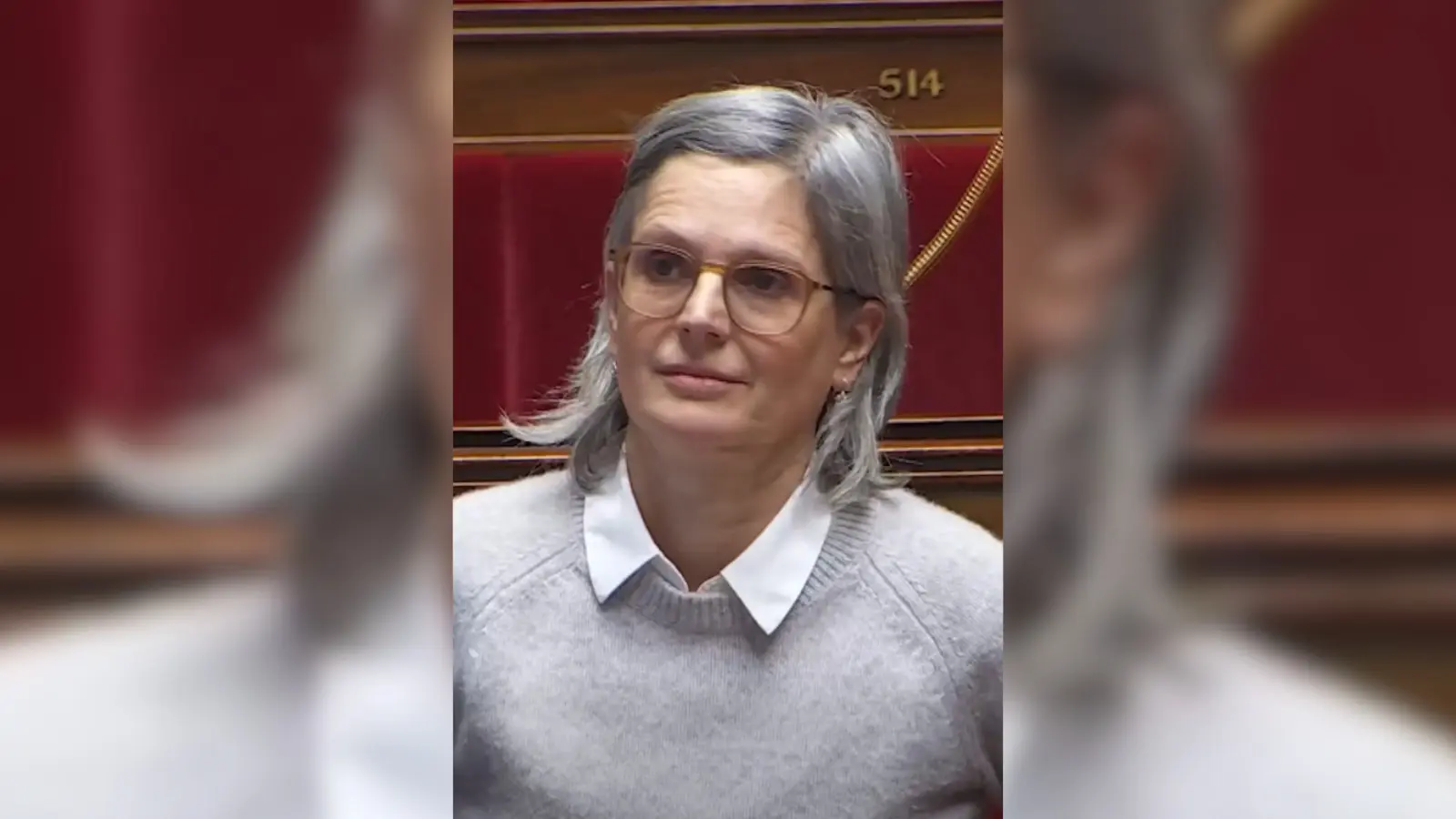 rousseau taxe viande