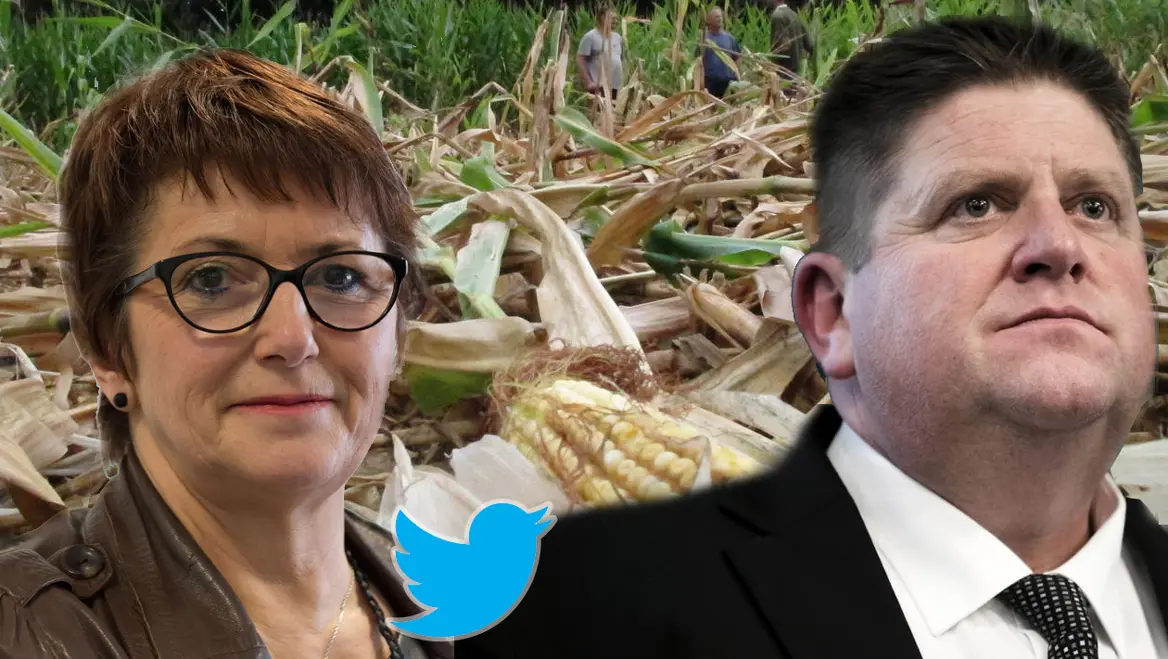 Dégâts de sangliers : Christiane Lambert et Willy Schraen s’interpellent sur Twitter