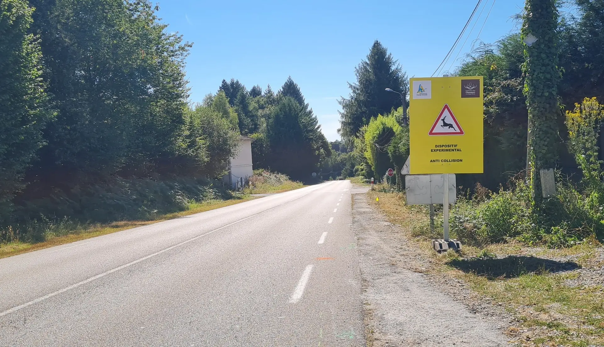 anti collision