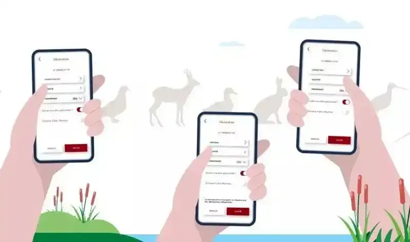 application ChassAdapt