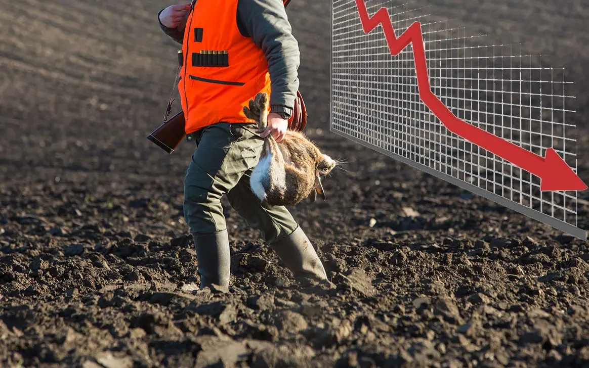 Bilan des accidents de chasse sur la saison 2021-2022 : la tendance reste à la baisse