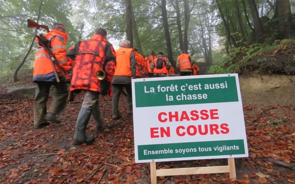 Location du droit de chasse à tir sur une année (licence annuelle collective) – SAISON 2021-2022 – Hauts de France et Nord – Normandie