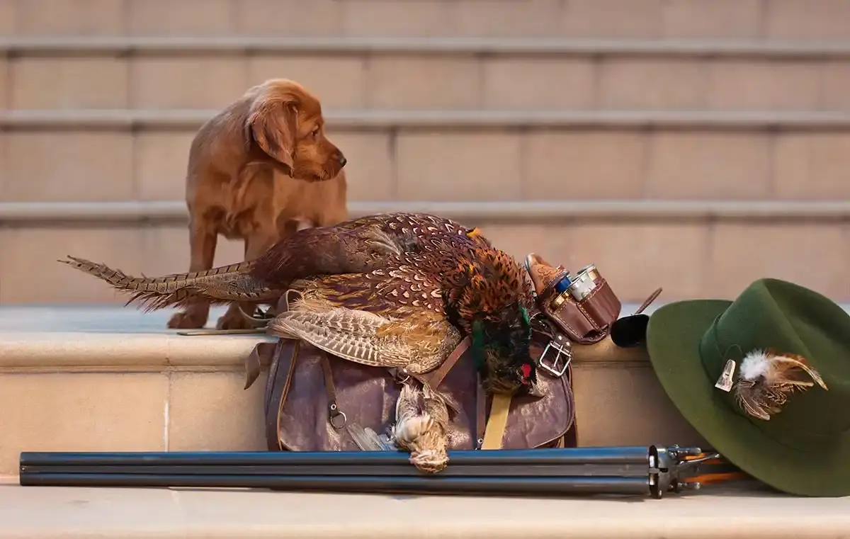 Trouver le bon prénom pour son chien de chasse en 2026 : idées et tendances pour la lettre « B »