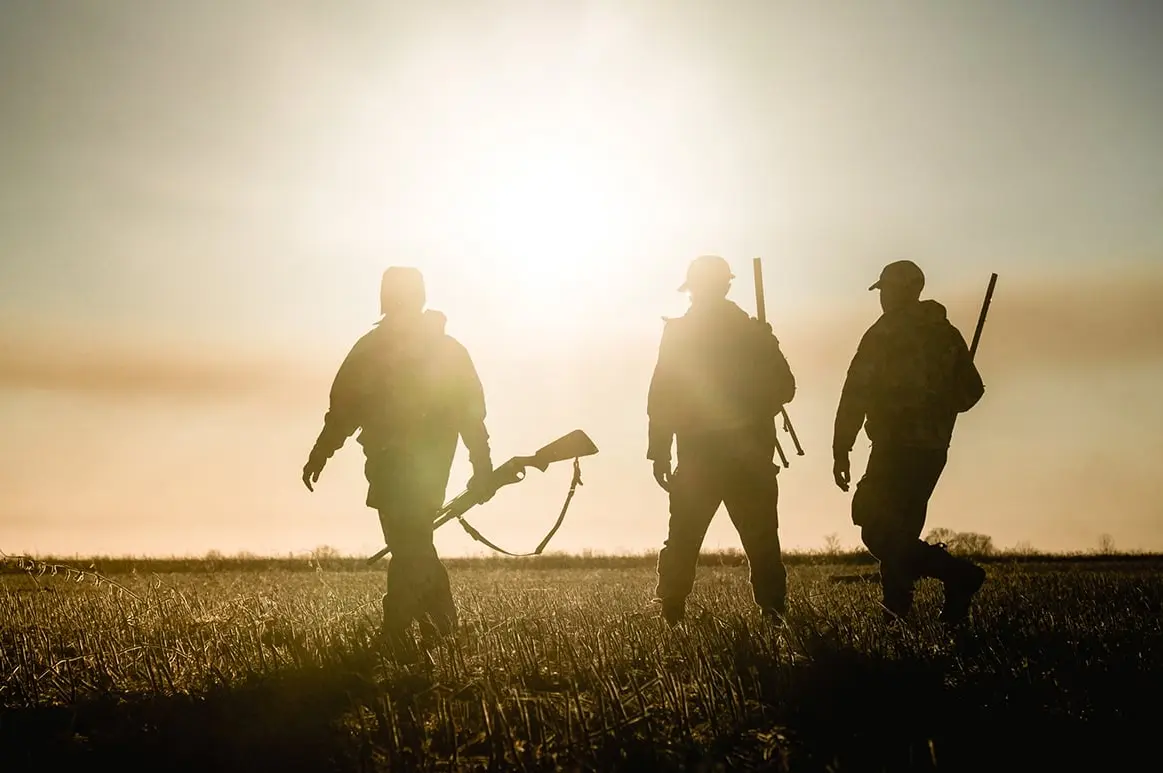 Département de la Marne : feu vert pour la reprise de la chasse