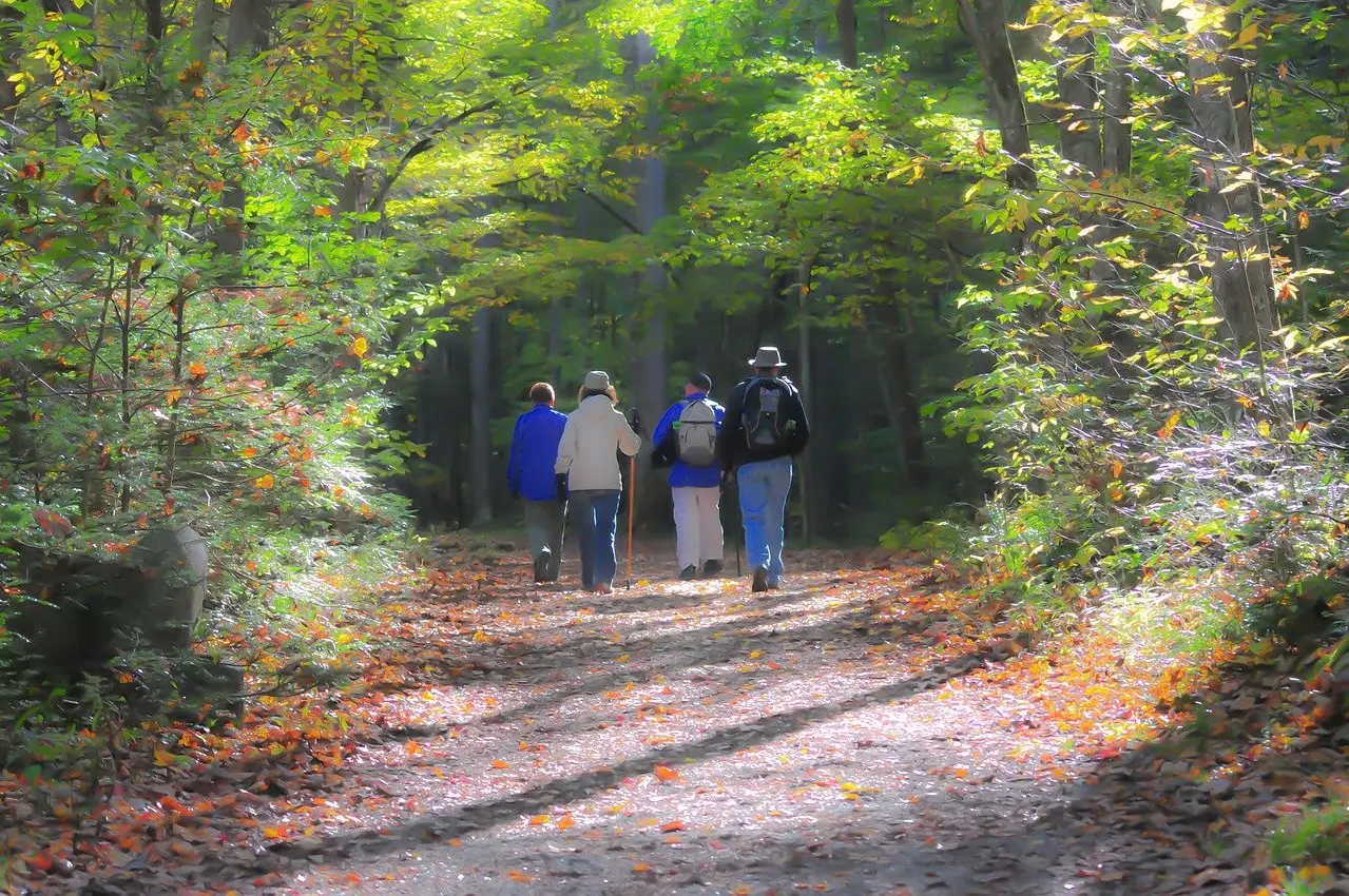 Charente : les chasseurs organisent leur nouvelle édition de leur randonnée « Chassons le cancer »