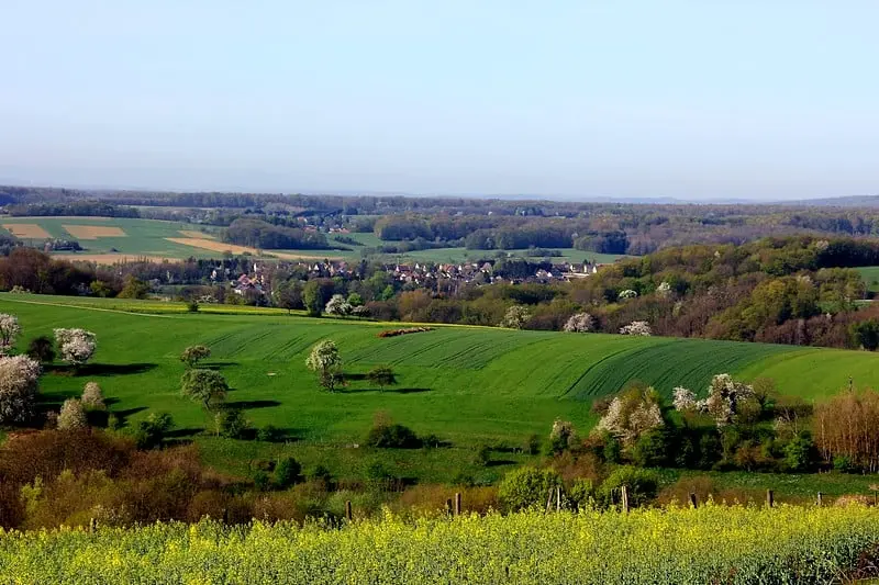 Un agriculteur condamné à cause des mouches