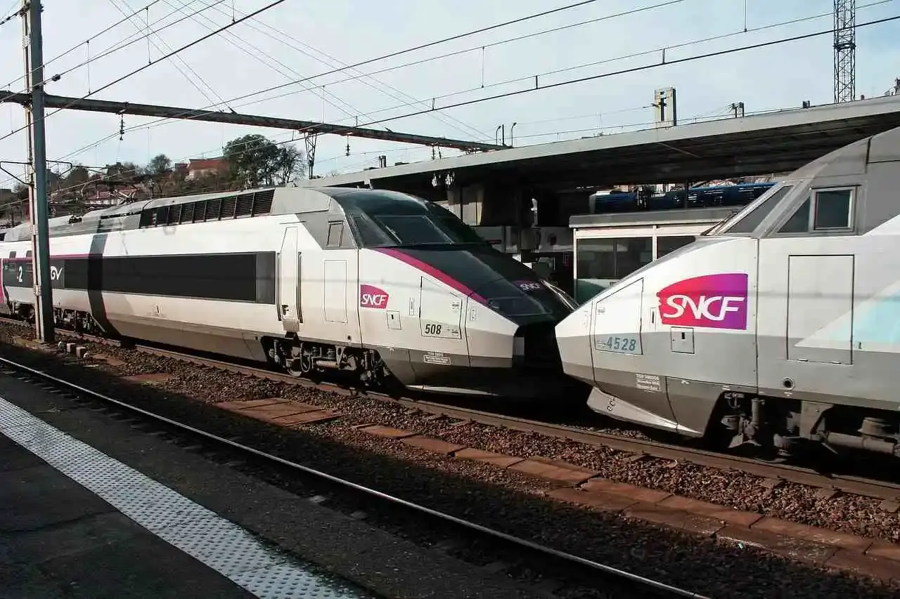 TGV-sanglier