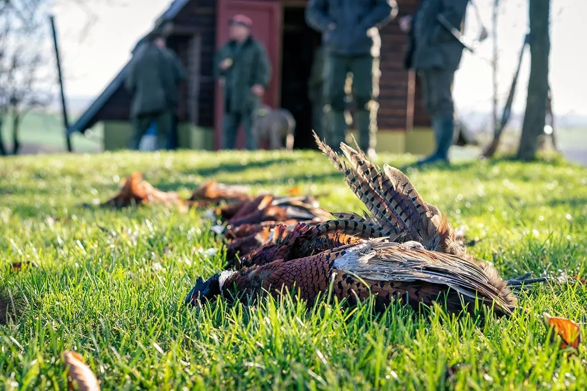 La chasse suspendue dans 50 communes de la Meuse et de la Meurthe-et-Moselle