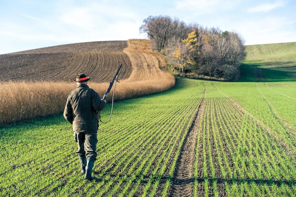 La mission Sénatoriale va auditionner l’auteure de la pétition anti-chasse le 7 décembre