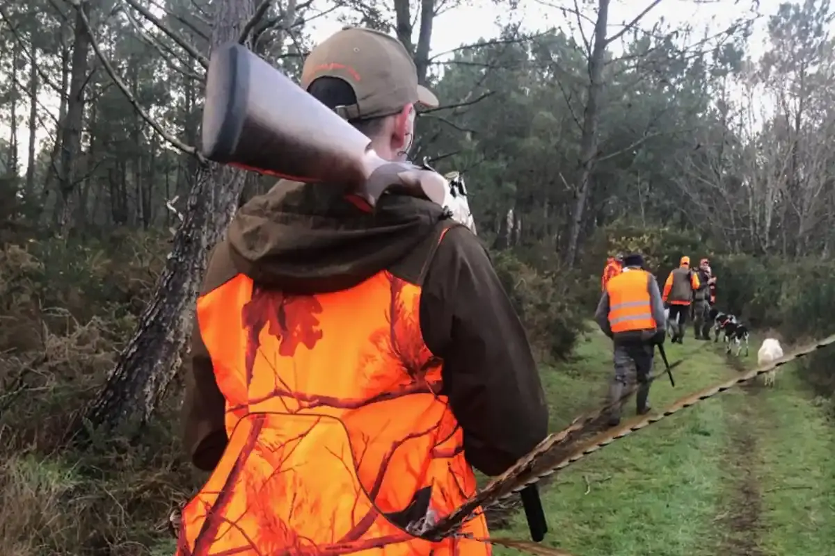 Interdiction de la chasse suite aux fortes chaleurs : le gouvernement refuse une suspension générale