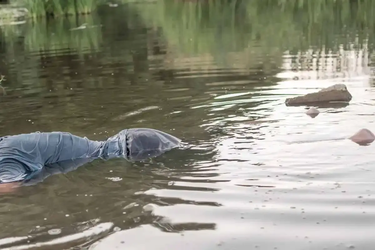 Un chasseur meurt en voulant récupérer son chien de chasse dans un bassin