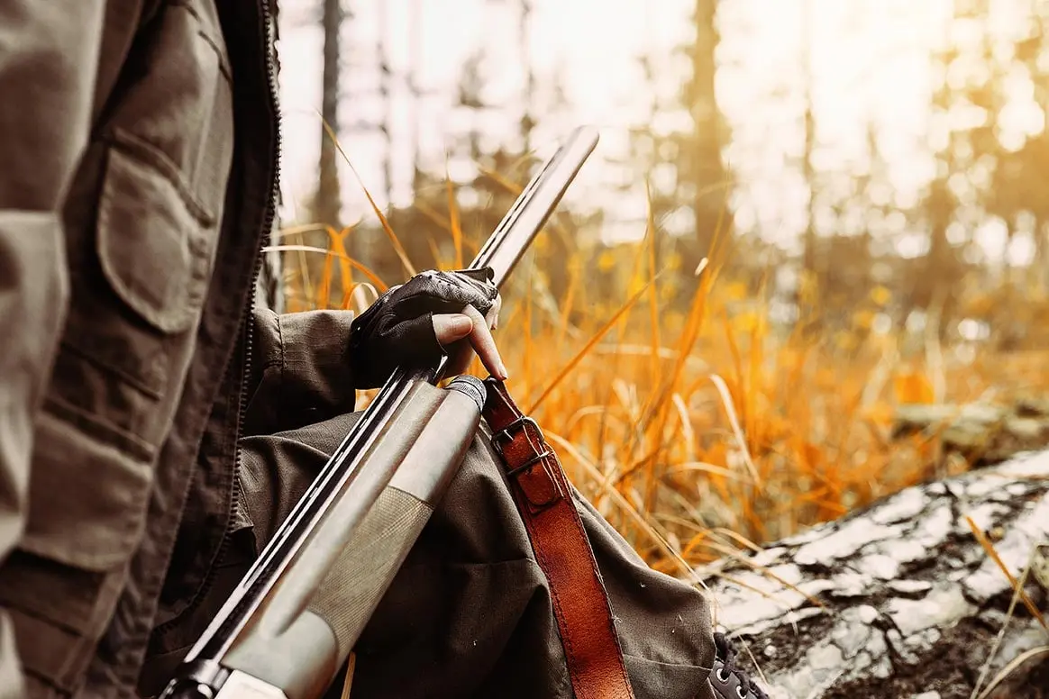 Sécurisation de la chasse, le projet de loi a été lancé