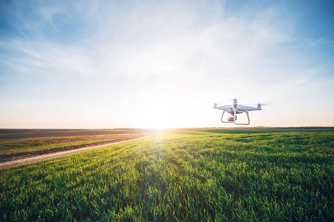 Belfort : les drones des chasseurs sauvent les animaux