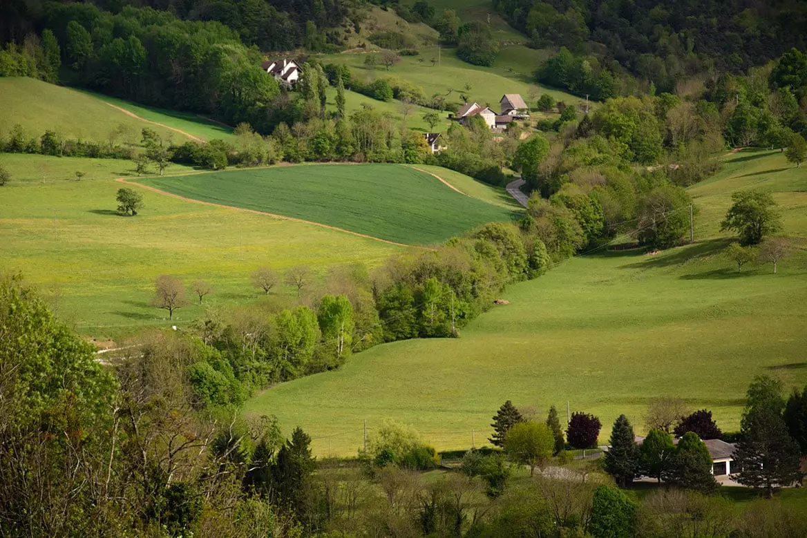 600m linéaires de haies seront plantés par des écoliers et la Fédération des Landes