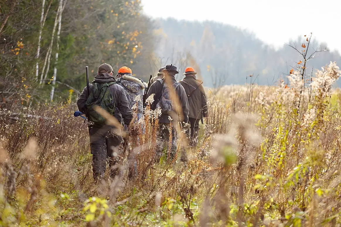 Morbihan : permis de chasse gratuit pour les agriculteurs