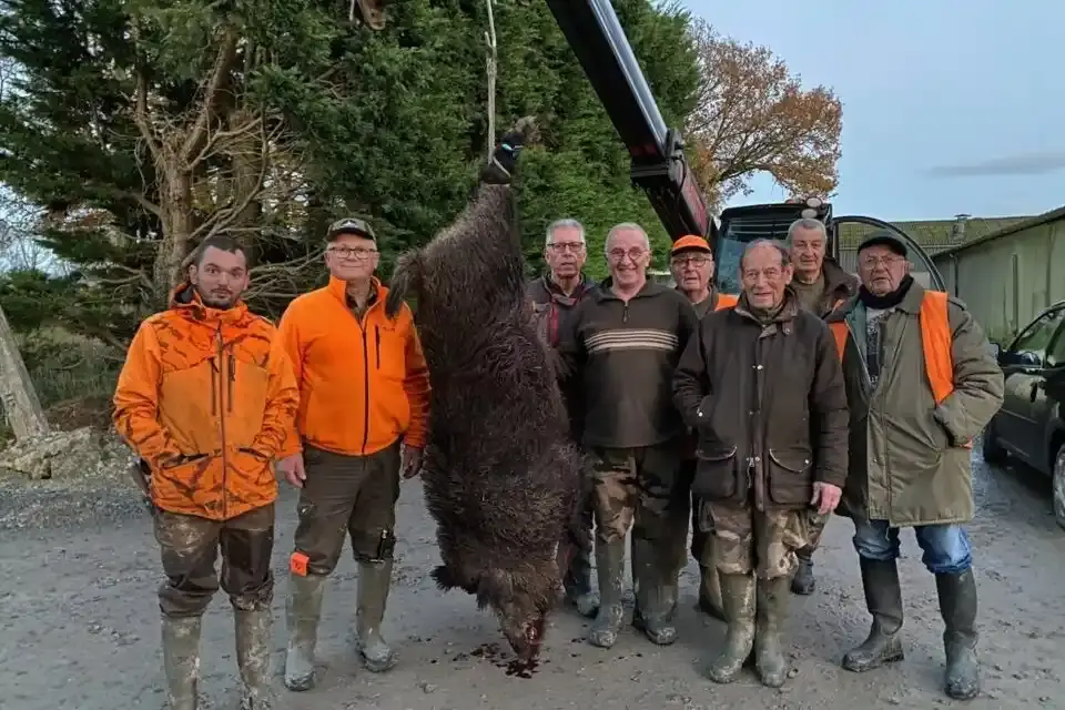 Un sanglier de 172 kilos tué en Bretagne