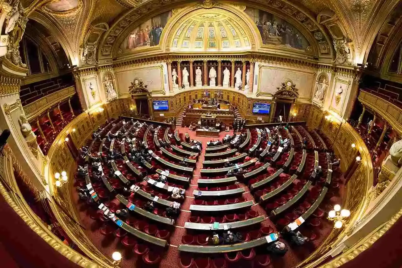 Sanctions renforcées, formation aux premiers secours obligatoire, déclaration de battue obligatoire : un projet de loi déposé au Sénat durcit la réglementation à la chasse