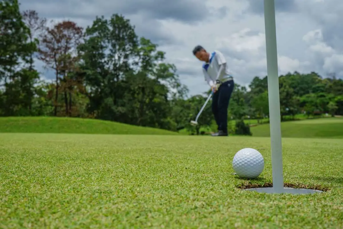 Battue aux sangliers au Golf du Touquet : il est conseillé d’éviter le secteur ce mercredi