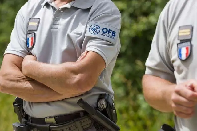 Bilan de la vaste opération de contrôles de l’OFB