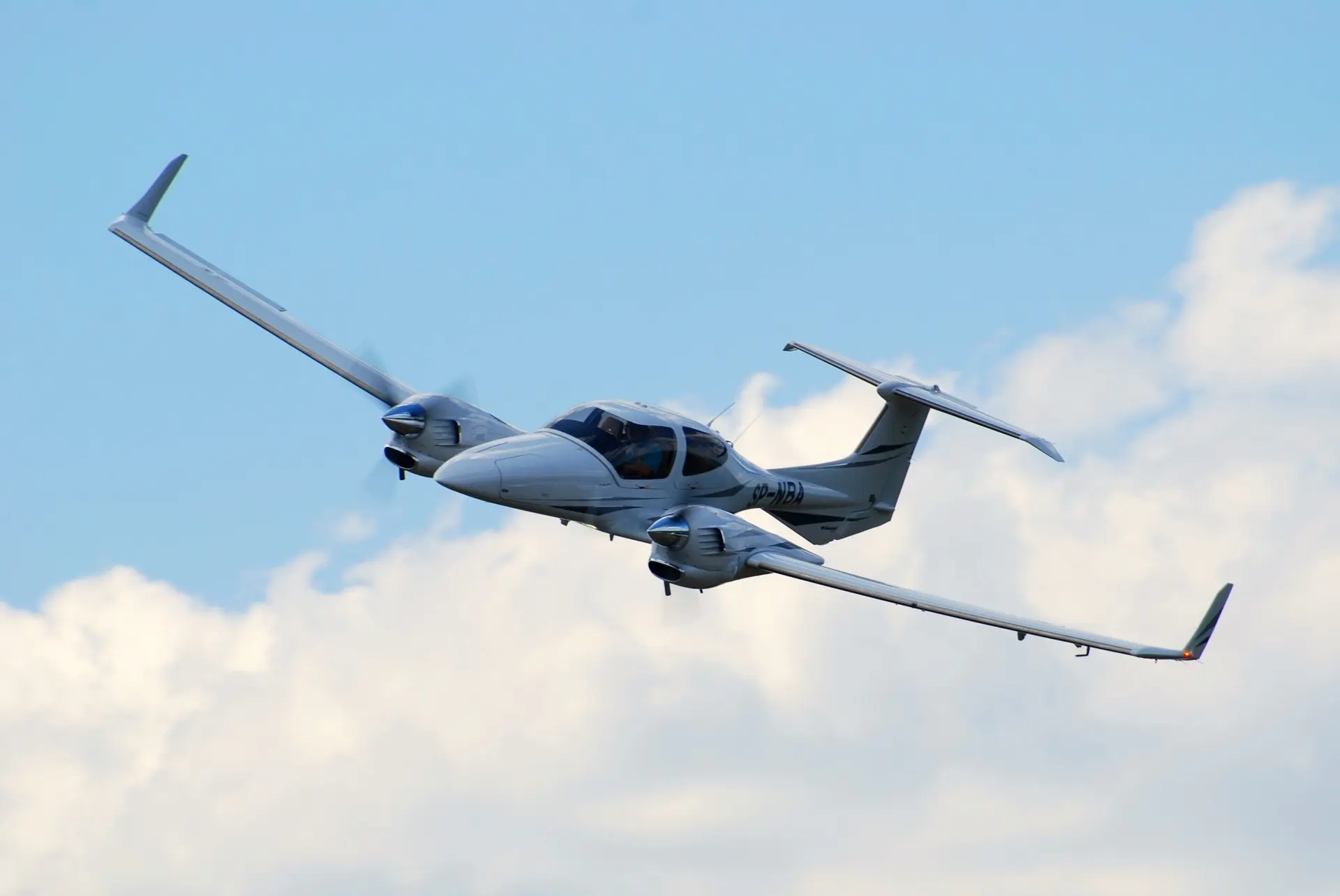 Une biche tuée par un avion bimoteur en phase d’atterrissage