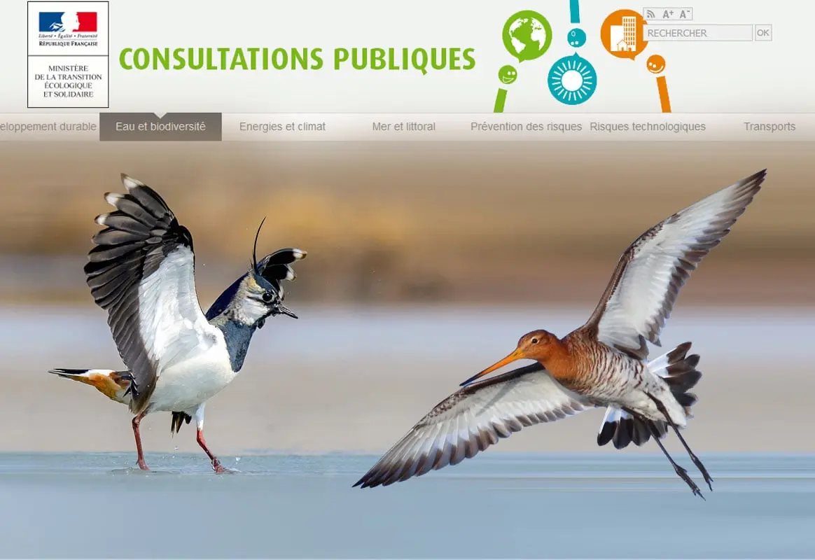 Liste des consultations publiques chasse