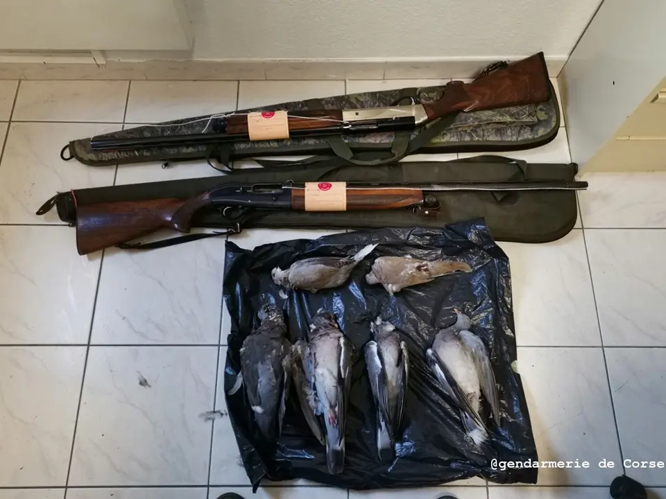 Corse : 2 braconniers interpellés