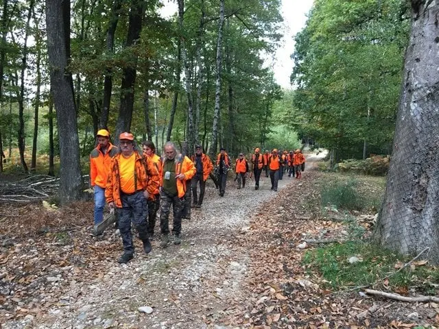 Haute-Saône : Cerf, chevreuil sanglier et chamois + ESOD