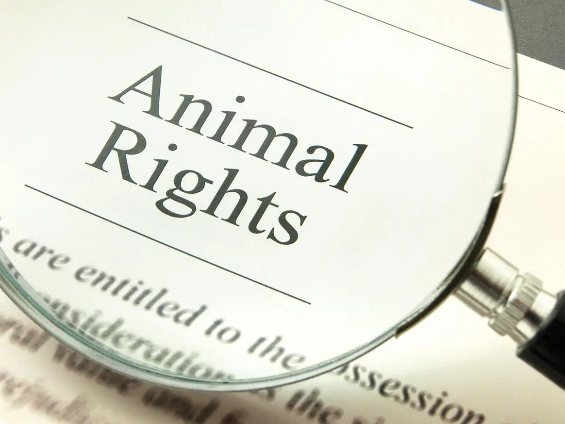 RIP de la cause animale : ce nouveau combat écolo/bobo/marketing