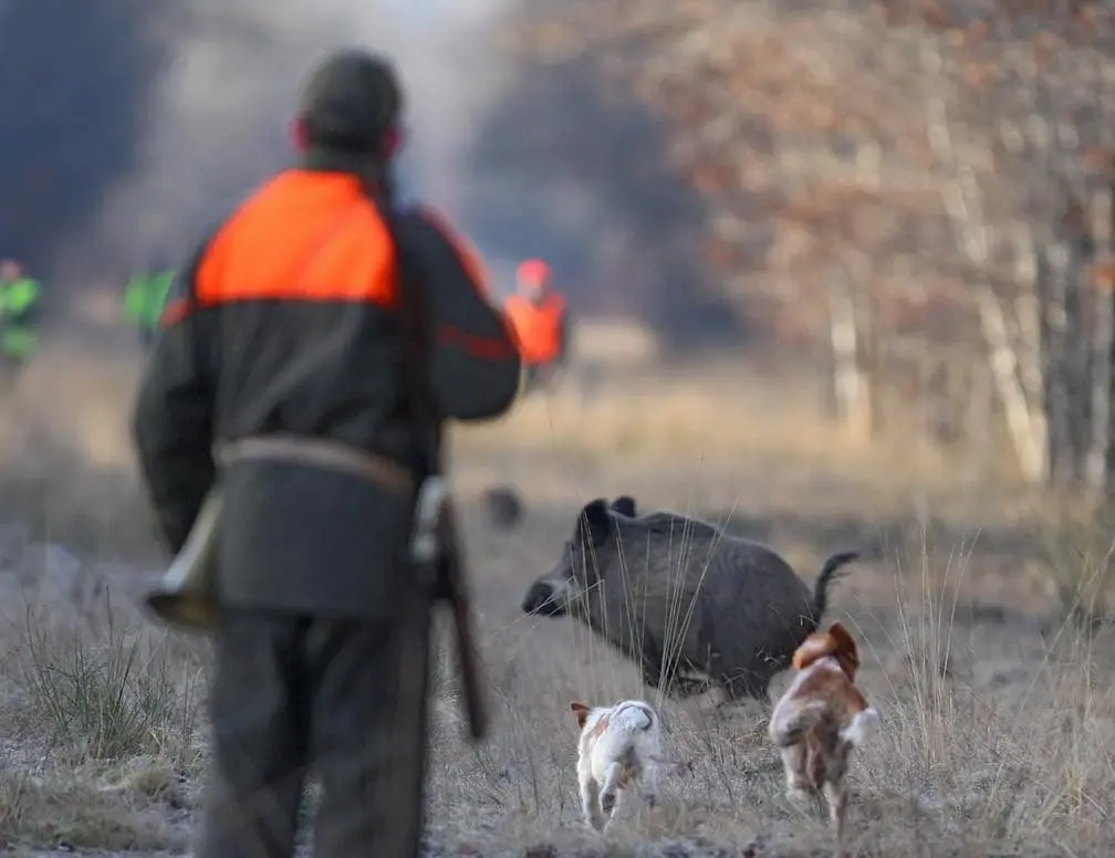 Les chasseurs aveyronnais chassent pour les Restos du Cœur