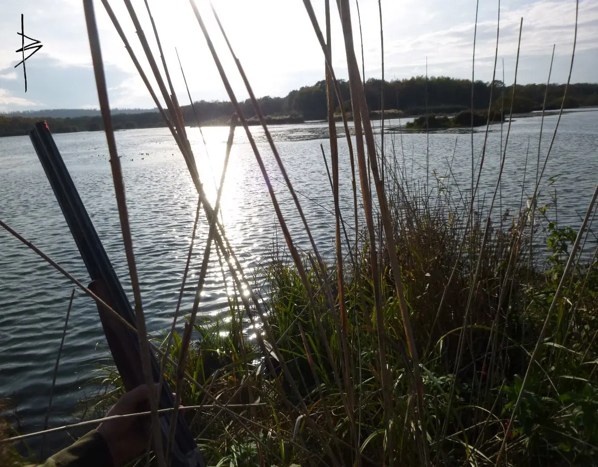 Chassez le gibier d’eau en Meurthe-et-Moselle sur un superbe territoire !