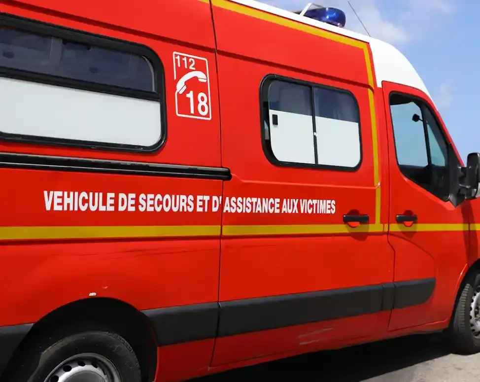 Deux accidents causés par des sangliers sur la même route dans les Deux-Sèvres