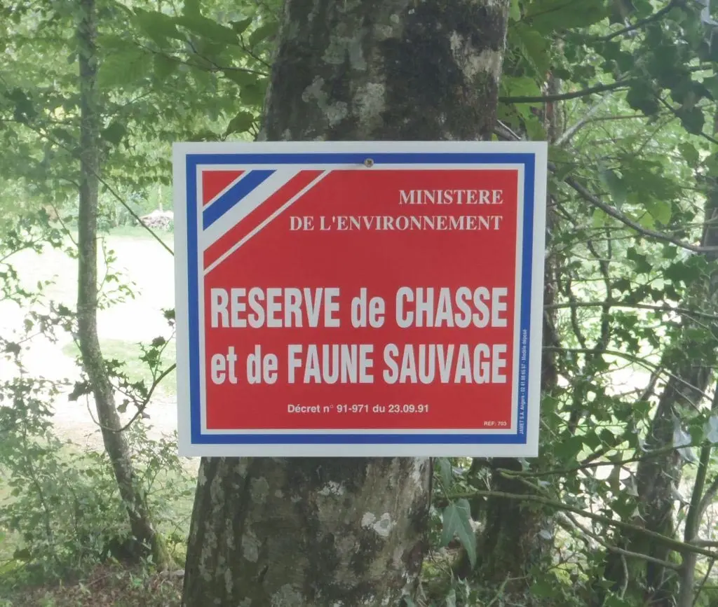 L’ourse a été tuée dans une réserve où la chasse est interdite : FAUX