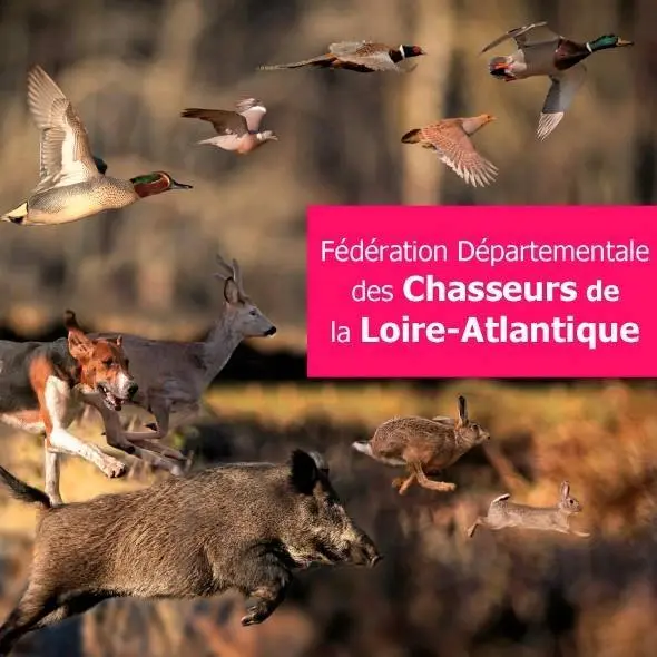 Loire-Atlantique : LPO, ONE VOICE et l’ASPAS condamnées à payer 2000€ à la Fédération des Chasseurs