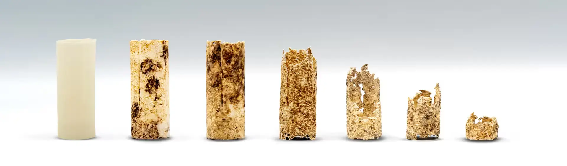 Solognac lance une nouvelle gamme de cartouches à bourre biodégradable