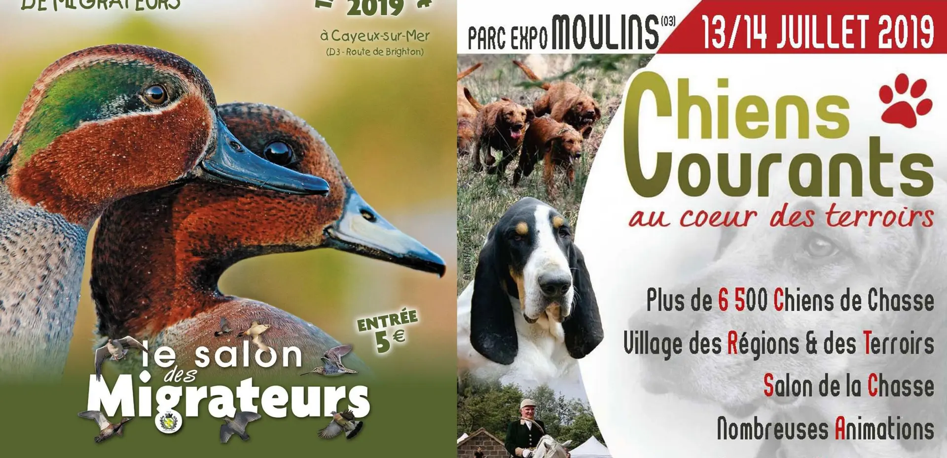 30 ans de la FACCC et le Salon des migrateurs, les 2 rendez-vous à ne pas manquer ce week-end