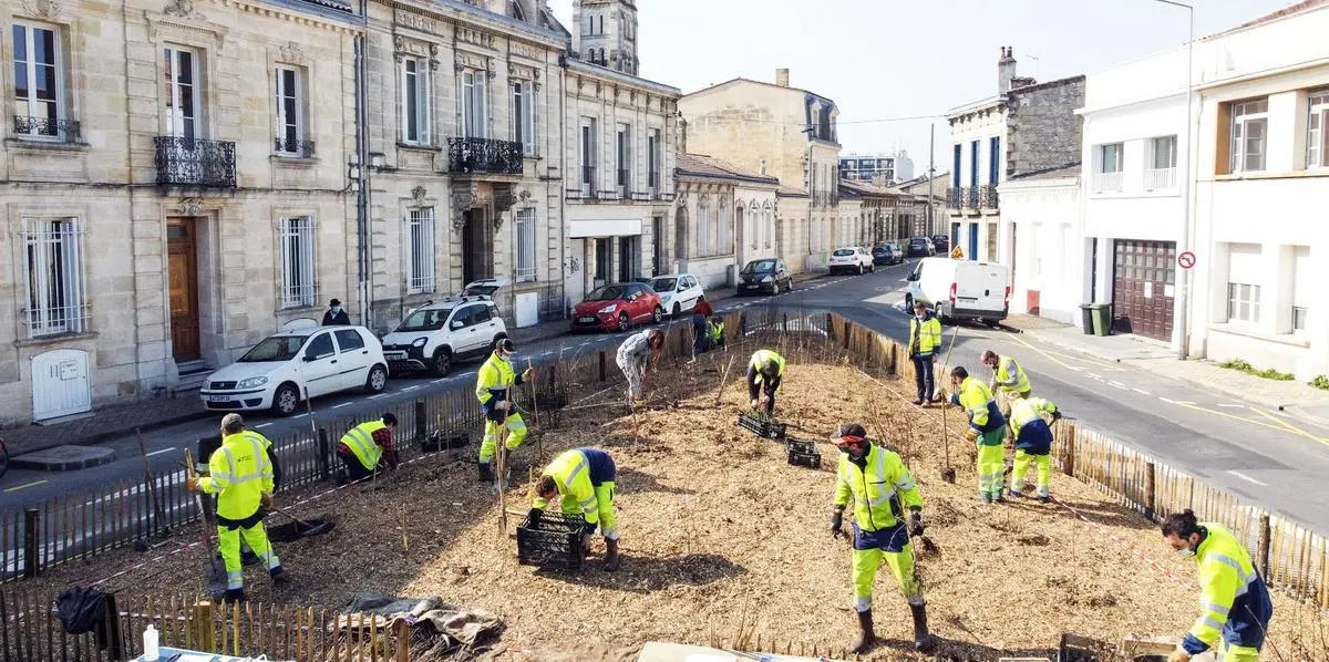 Bordeaux : 52 000€ pour planter une micro forêt de 100m²