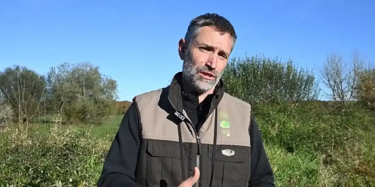 Regis Hargues